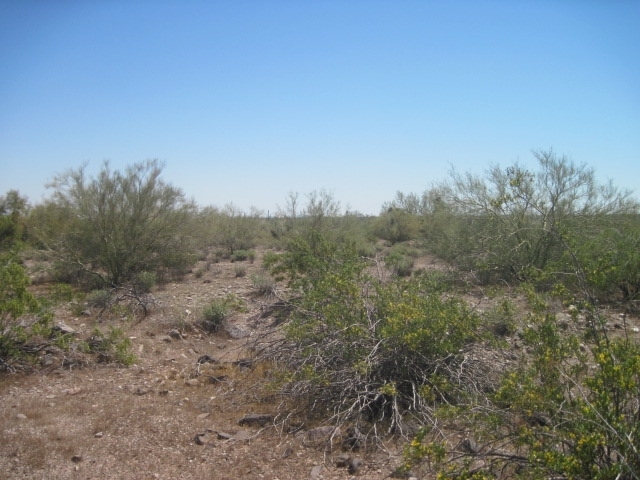 0 West Carranza Parcel Road Maricopa, AZ 85139 - Photo 3 of 7 GLG 03