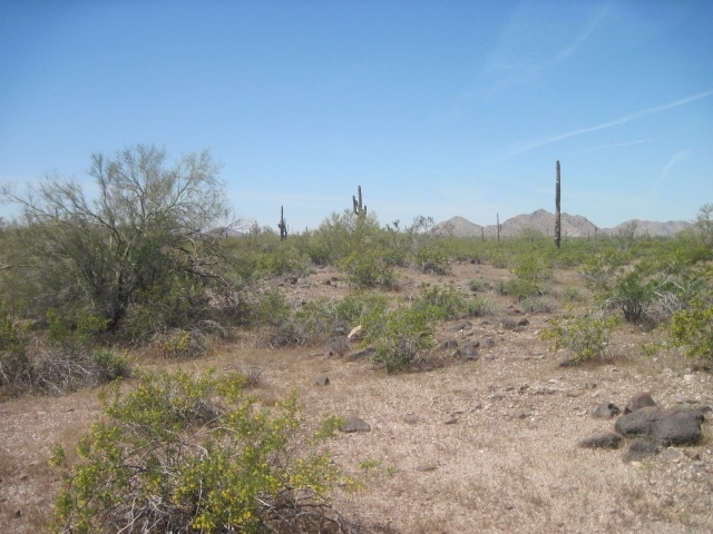 0 West Carranza Parcel Road Maricopa, AZ 85139 - Photo 4 of 7 GLG 04