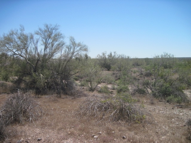 0 West Carranza Parcel Road Maricopa, AZ 85139 - Photo 5 of 7 GLG 05