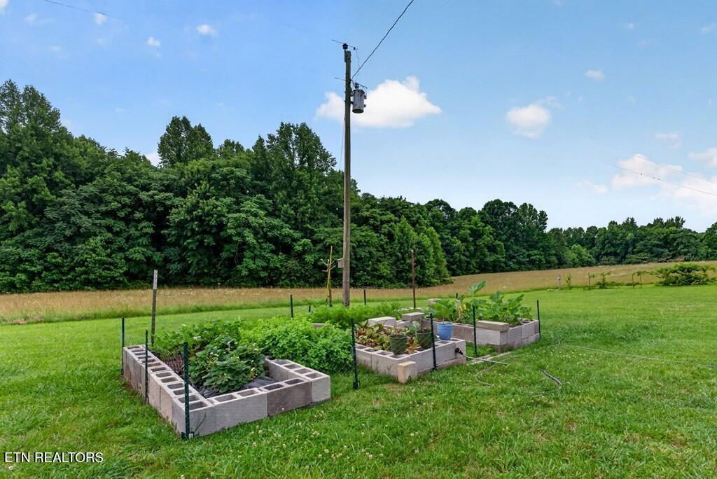 175 Humphrey Road Walling, TN 38587 - Photo 17 of 20 245125_24