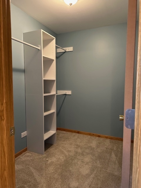 110 East Spring Road Coal City, IL 60416 - Photo 29 of 41 Gallery Image 29