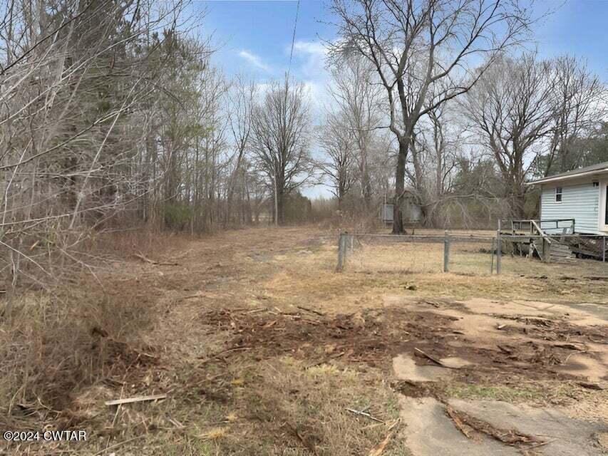 1759 Janes Mill Road Gleason, TN 38229 - Photo 4 of 18 a view of a yard with a tree