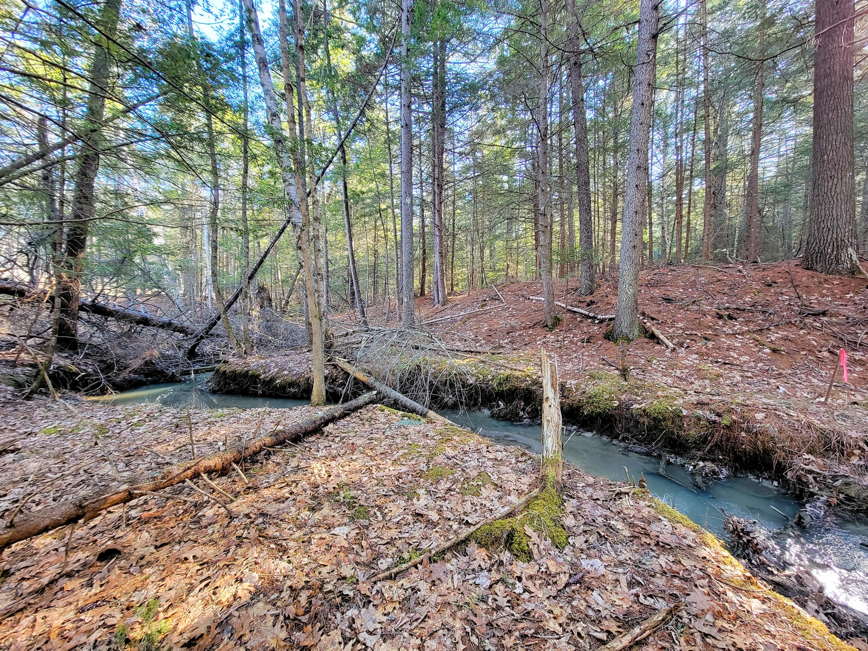 0 Redding Lane Freeport, ME 04032 - Photo 12 of 16 20260408_164635