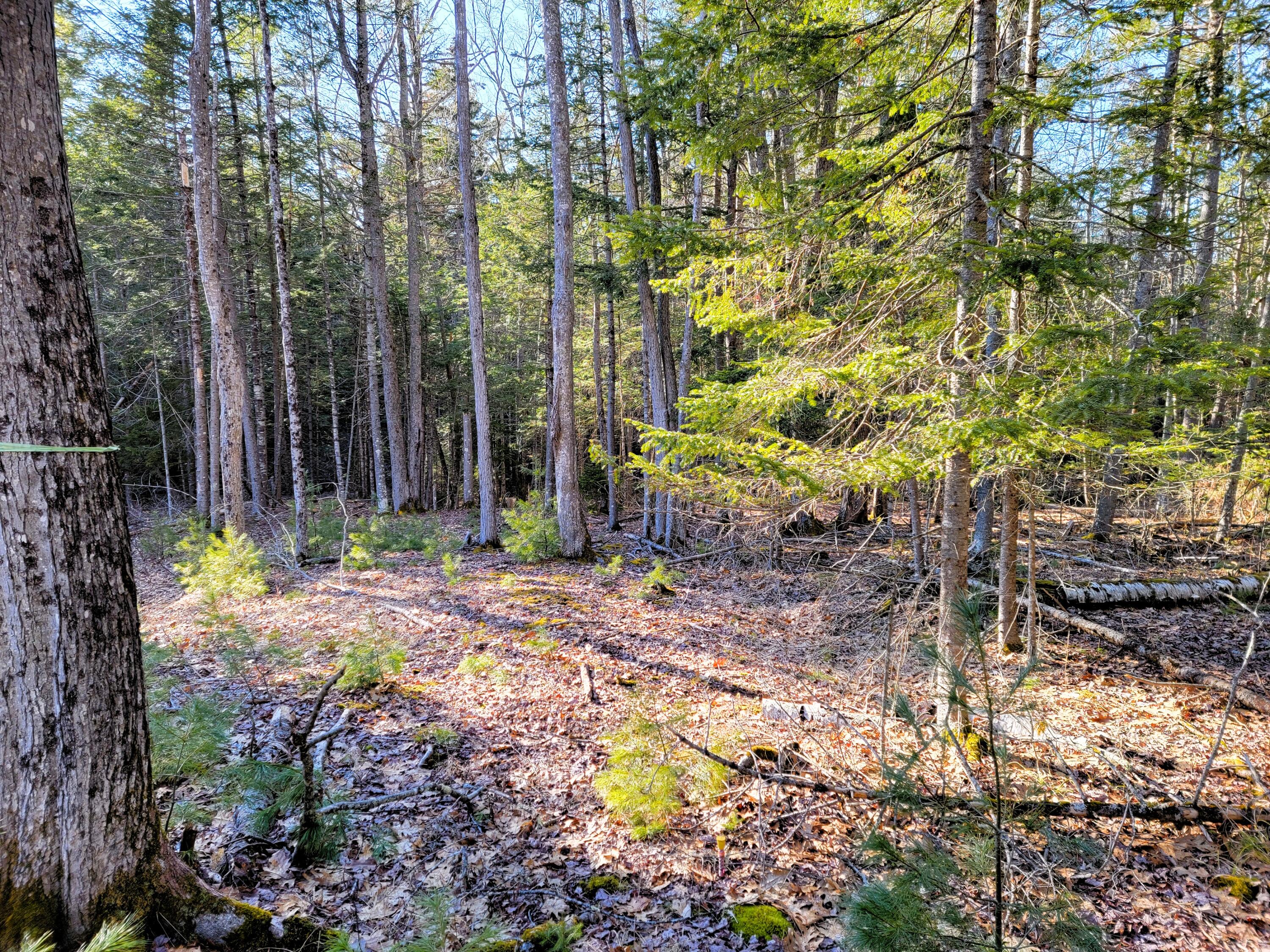 0 Redding Lane Freeport, ME 04032 - Photo 15 of 16 20260408_165507