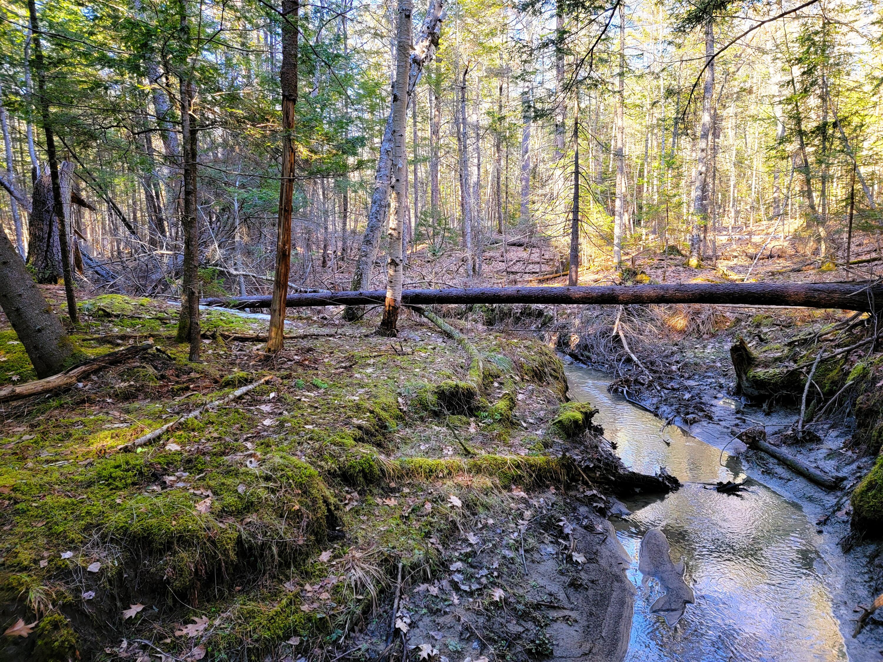 0 Redding Lane Freeport, ME 04032 - Photo 16 of 16 20260408_165245