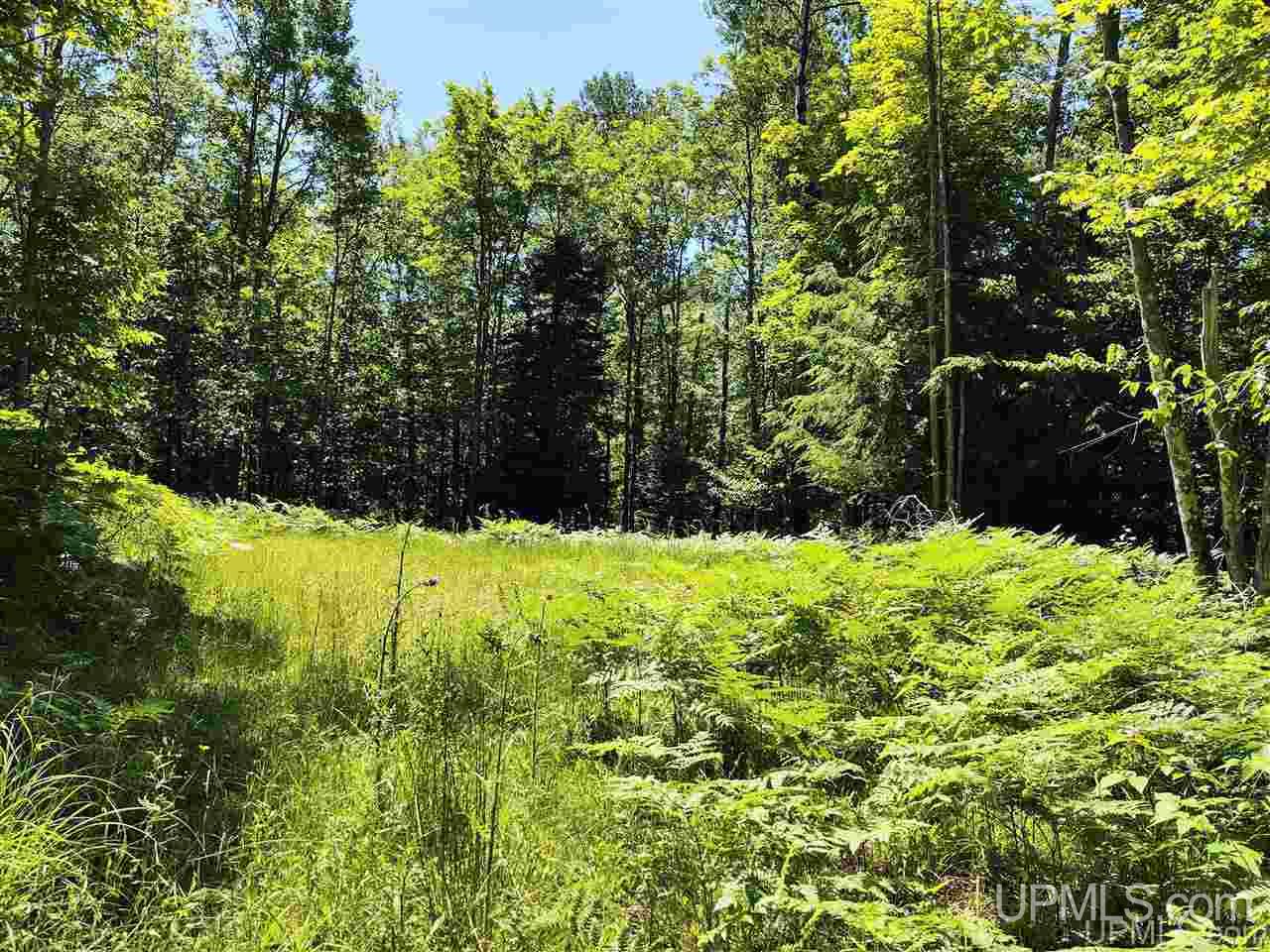 Tbd Tbd Indian Cemetery Road Lanse, MI 49946 - Photo 4 of 40