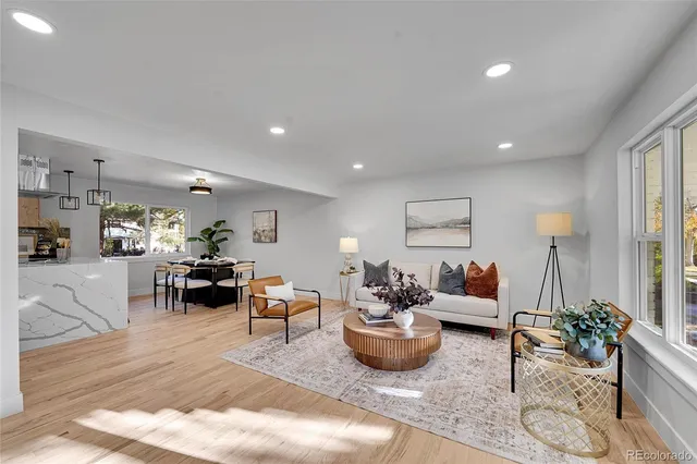 a living room with furniture and a potted plant