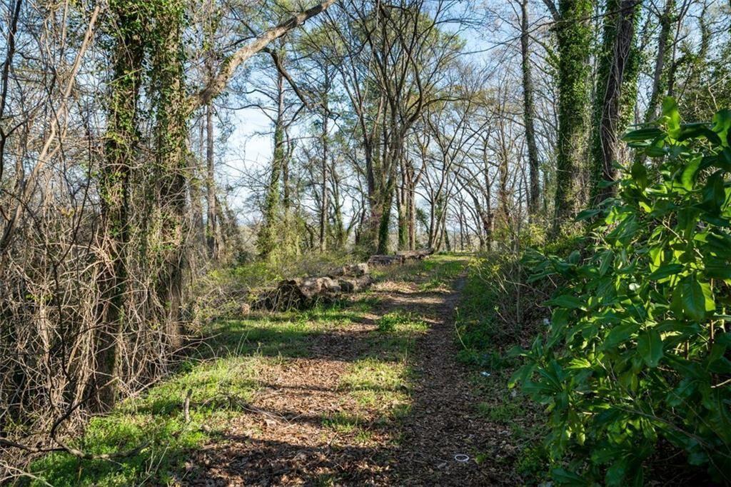 113 Lookout Circle Southwest Rome, GA 30161 - Photo 6 of 13 a view of a garden with large trees
