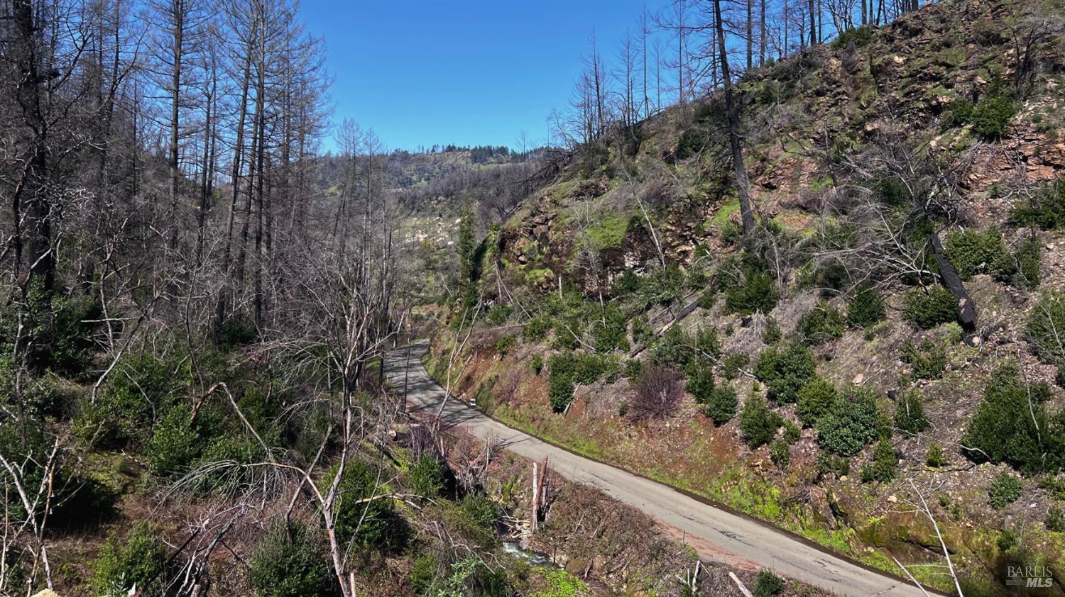 8410 St Helena Road Santa Rosa, CA 95404 - Photo 1 of 1 a view of a yard with a wooden fence