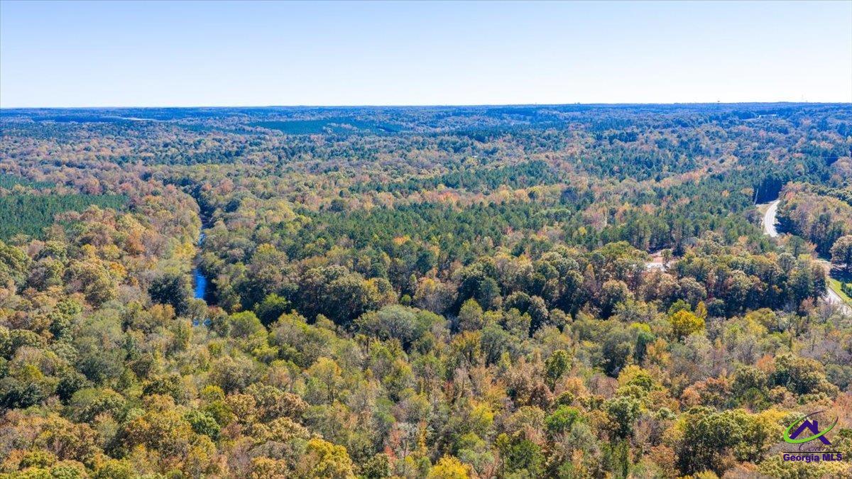 3271 Highway 42 Forsyth, GA 31029 - Photo 24 of 29