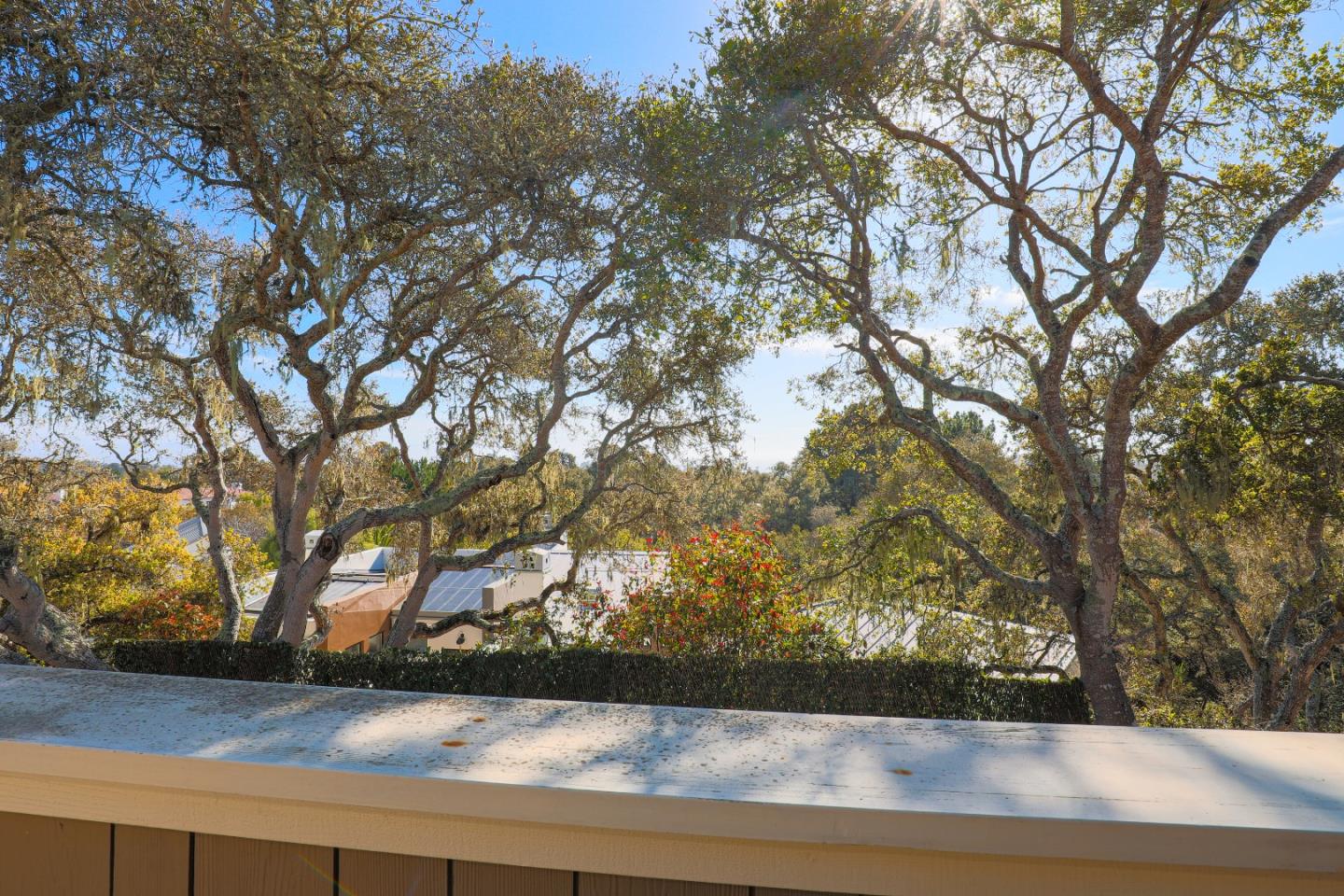 3030 Haas Drive Aptos, CA 95003 - Photo 34 of 44 a view of yard with green space