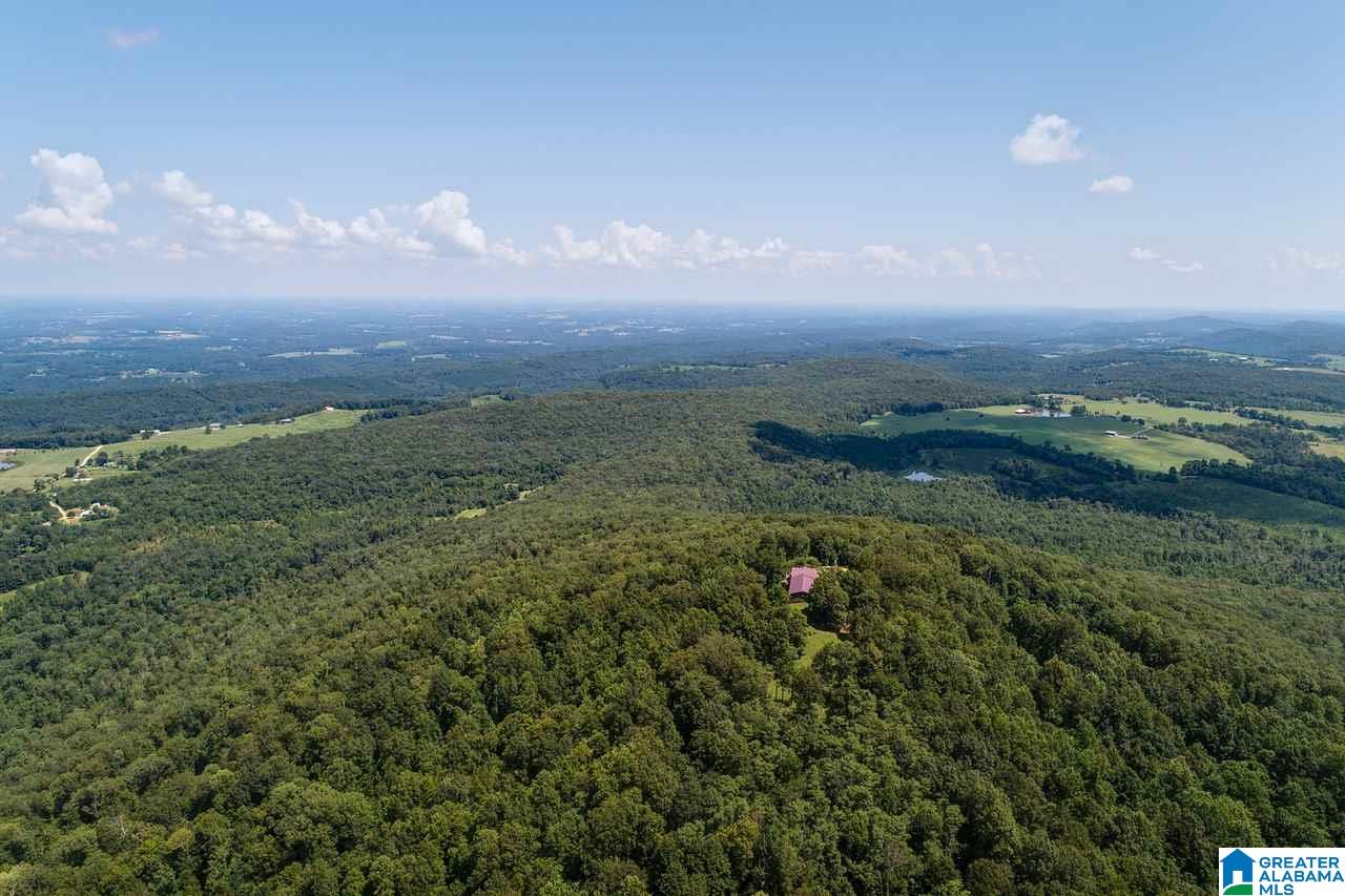 1458 Warnock Peak Road Hayden, AL 35079 - Photo 9 of 50