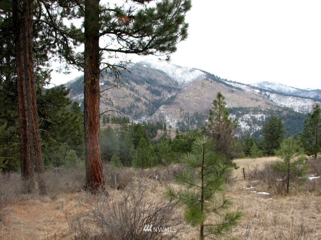 -tbd Tbd Otis Road Malo, WA 99150 - Photo 1 of 17 Gallery Image 1