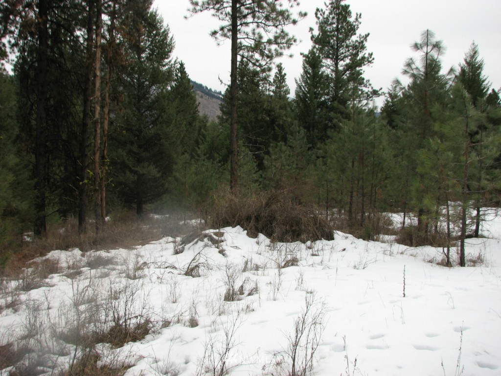 -tbd Tbd Otis Road Malo, WA 99150 - Photo 11 of 17 Gallery Image 11