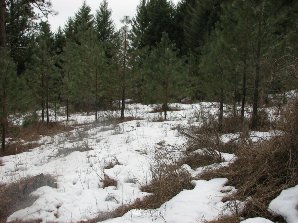 -tbd Tbd Otis Road Malo, WA 99150 - Photo 12 of 17 Gallery Image 12