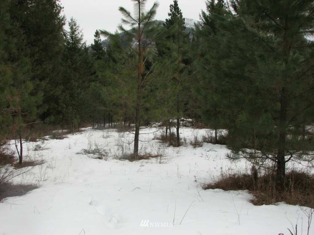 -tbd Tbd Otis Road Malo, WA 99150 - Photo 13 of 17 Gallery Image 13