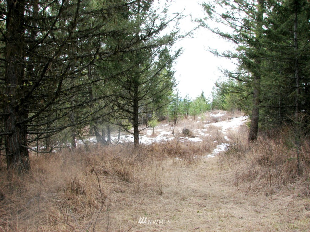 -tbd Tbd Otis Road Malo, WA 99150 - Photo 14 of 17 Gallery Image 14