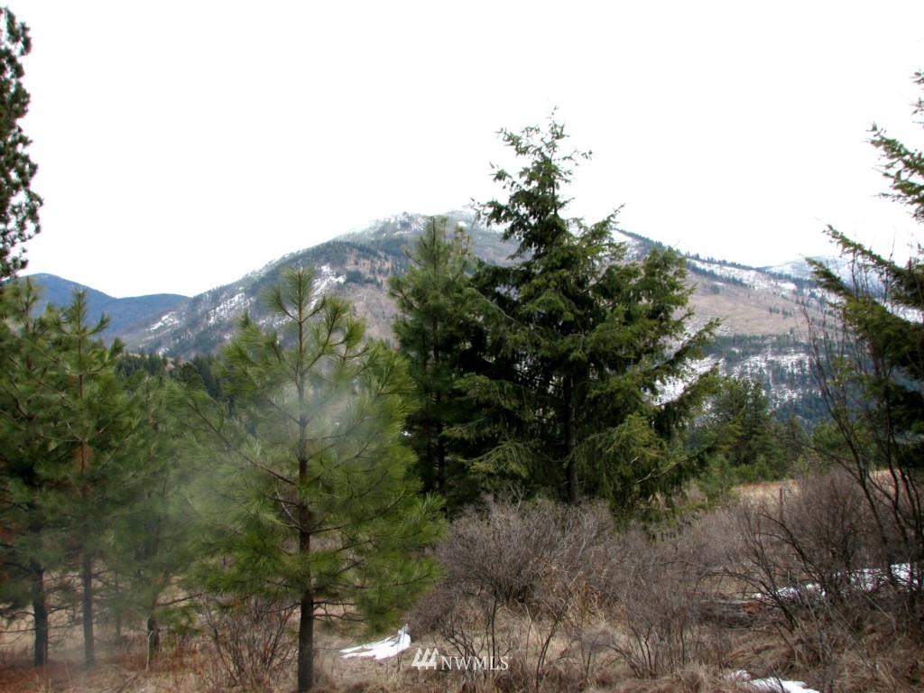 -tbd Tbd Otis Road Malo, WA 99150 - Photo 15 of 17 Gallery Image 15