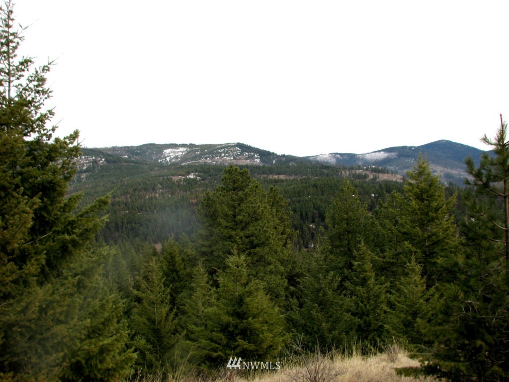 -tbd Tbd Otis Road Malo, WA 99150 - Photo 16 of 17 Gallery Image 16
