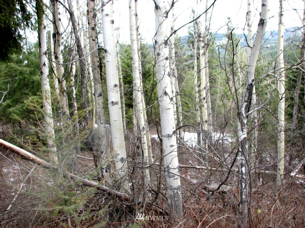 -tbd Tbd Otis Road Malo, WA 99150 - Photo 3 of 17 Gallery Image 3