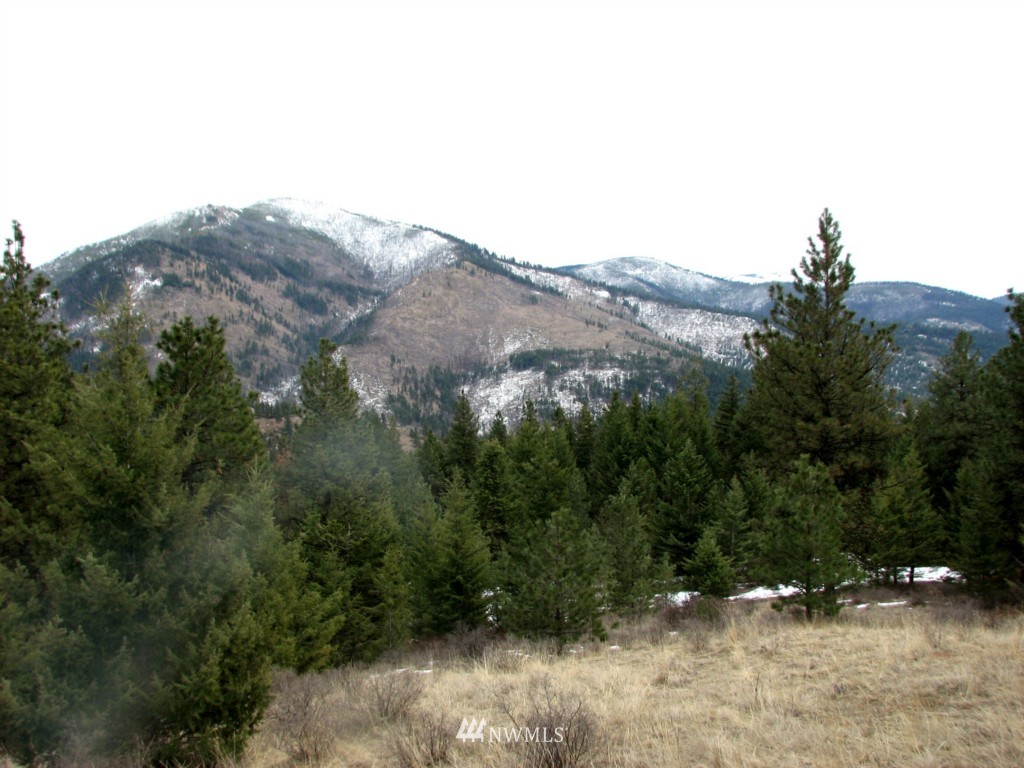 -tbd Tbd Otis Road Malo, WA 99150 - Photo 4 of 17 Gallery Image 4
