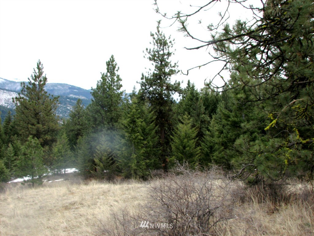 -tbd Tbd Otis Road Malo, WA 99150 - Photo 5 of 17 Gallery Image 5