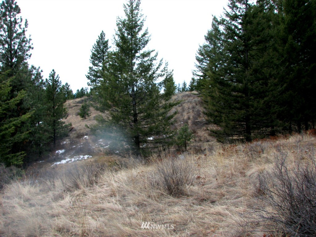 -tbd Tbd Otis Road Malo, WA 99150 - Photo 7 of 17 Gallery Image 7