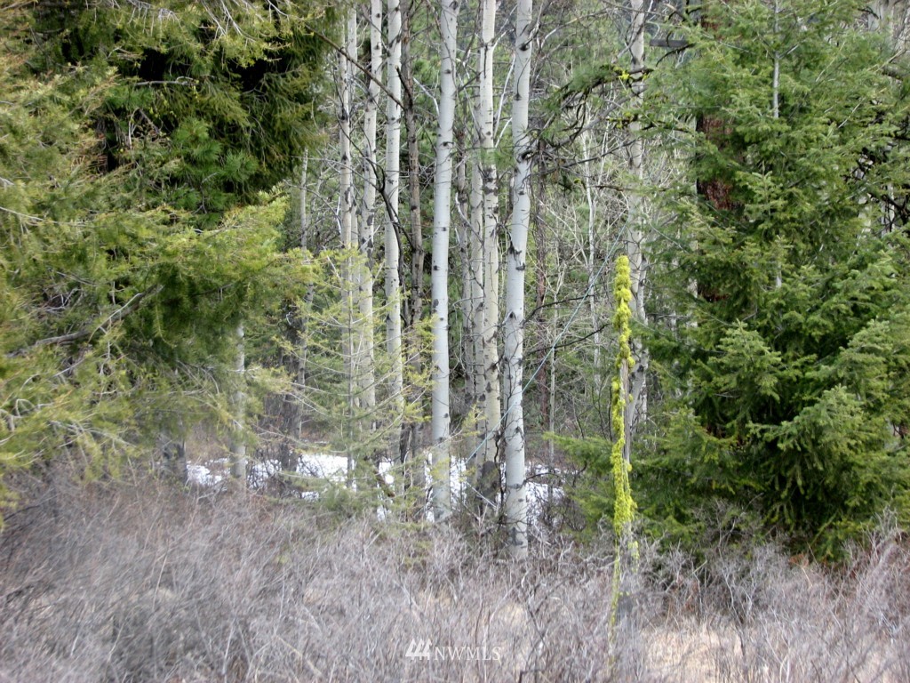 -tbd Tbd Otis Road Malo, WA 99150 - Photo 8 of 17 Gallery Image 8