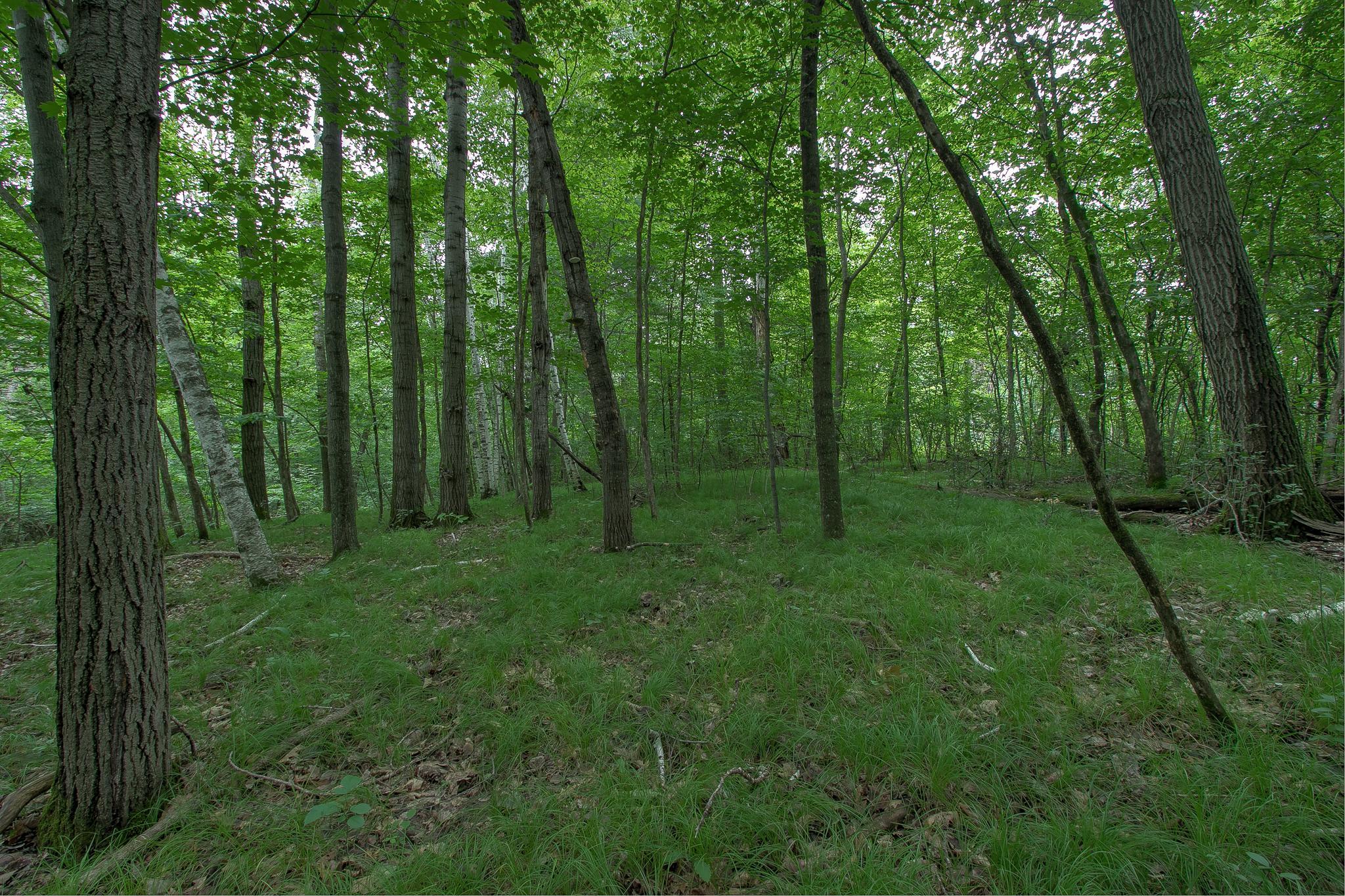 37306 Fjeldheim Road Northeast Stanchfield, MN 55080 - Photo 31 of 46