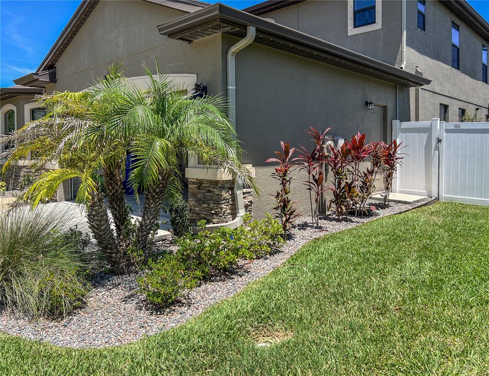 12307 Newt Court New Port Richey, FL 34654 - Photo 5 of 69