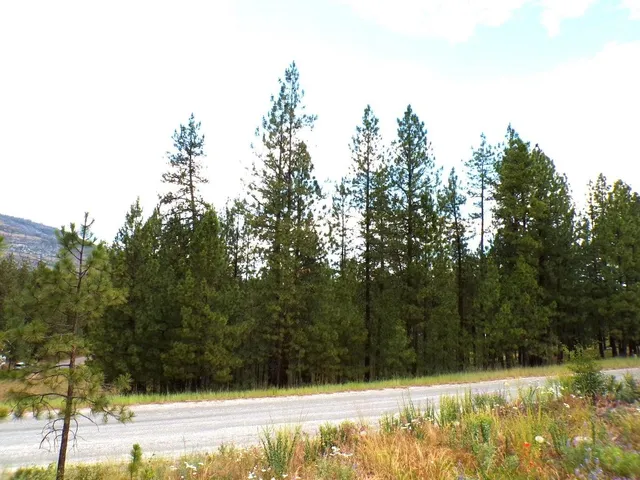 $55,000 | 1185 Fumi Circle, Kettle Falls, WA 99141