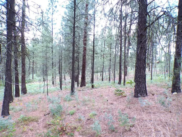 $55,000 | 1185 Fumi Circle, Kettle Falls, WA 99141