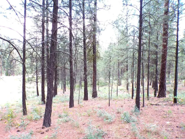 $55,000 | 1185 Fumi Circle, Kettle Falls, WA 99141