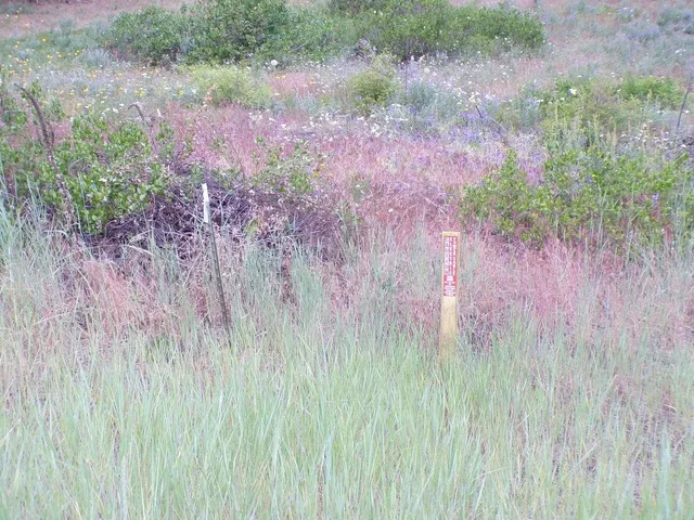 $55,000 | 1185 Fumi Circle, Kettle Falls, WA 99141