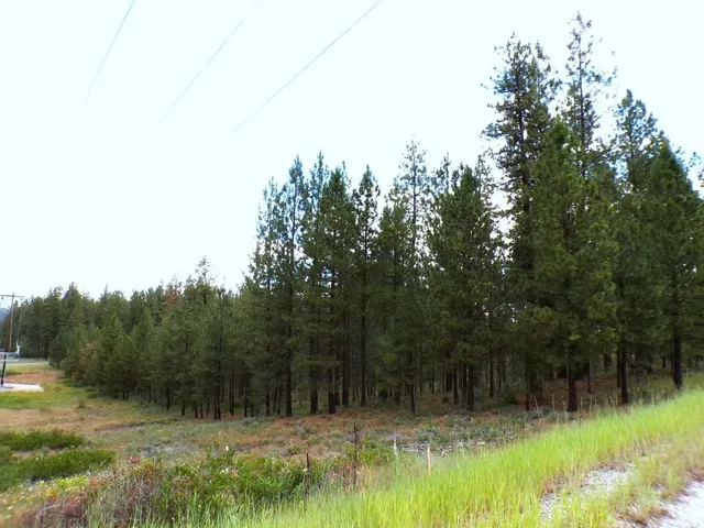 $55,000 | 1185 Fumi Circle, Kettle Falls, WA 99141