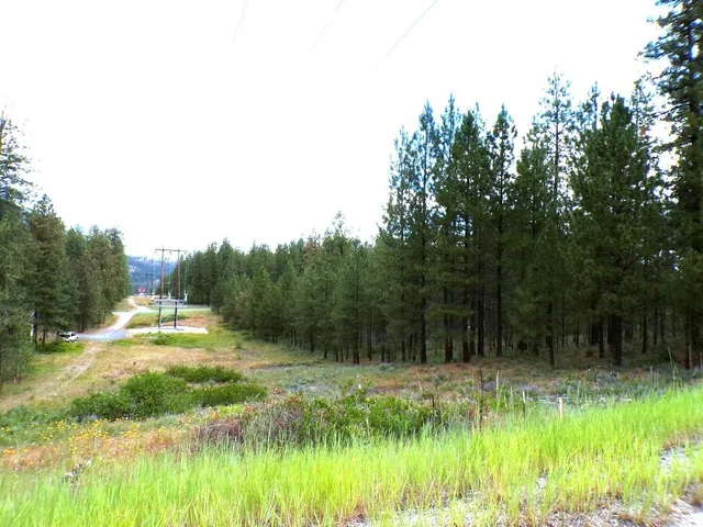 $55,000 | 1185 Fumi Circle, Kettle Falls, WA 99141