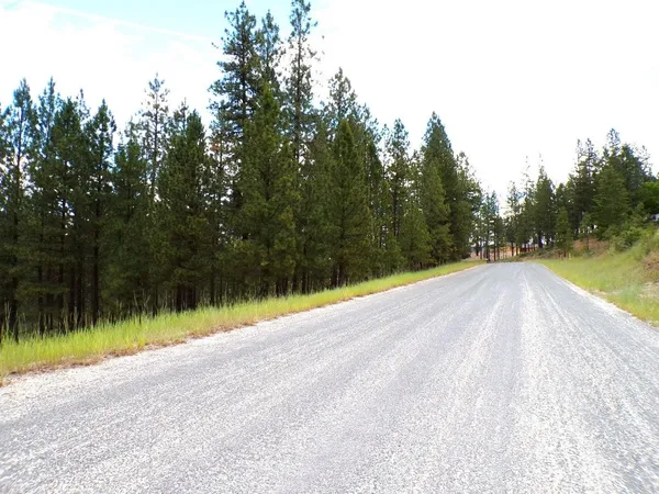 $55,000 | 1185 Fumi Circle, Kettle Falls, WA 99141