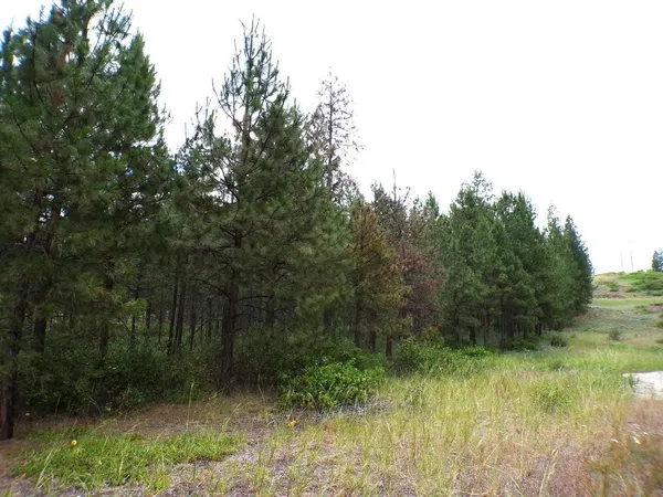 $55,000 | 1185 Fumi Circle, Kettle Falls, WA 99141