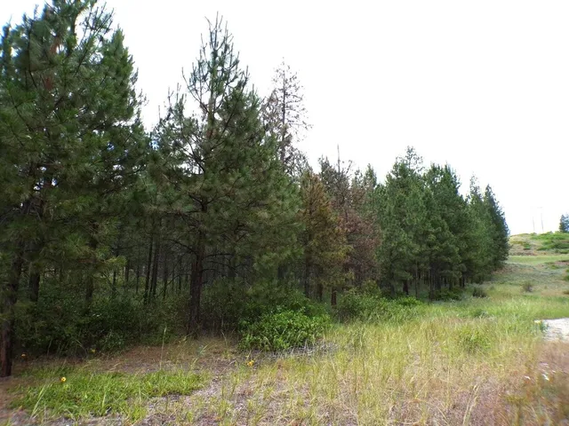 $55,000 | 1185 Fumi Circle, Kettle Falls, WA 99141