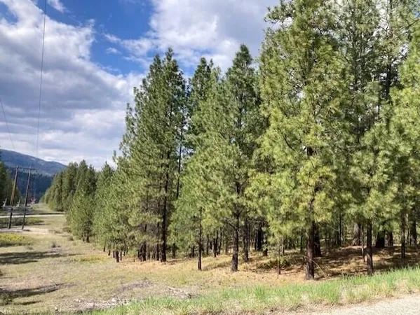 $55,000 | 1185 Fumi Circle, Kettle Falls, WA 99141