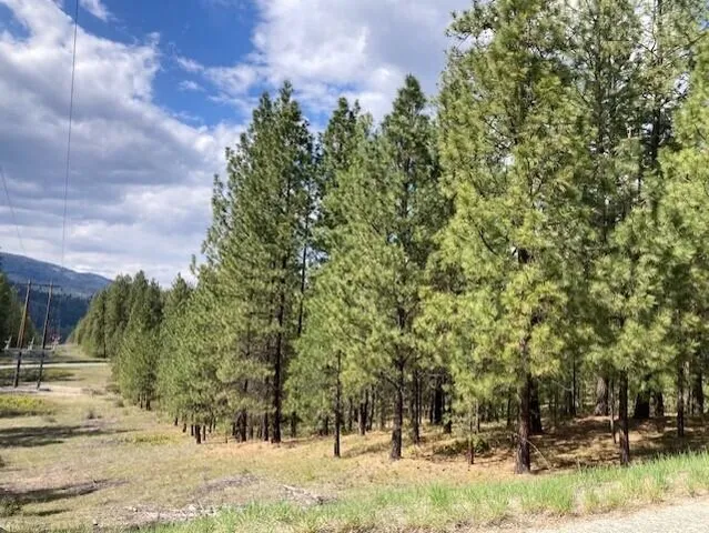 $55,000 | 1185 Fumi Circle, Kettle Falls, WA 99141