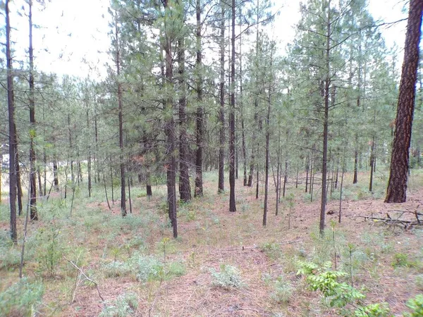 $55,000 | 1185 Fumi Circle, Kettle Falls, WA 99141