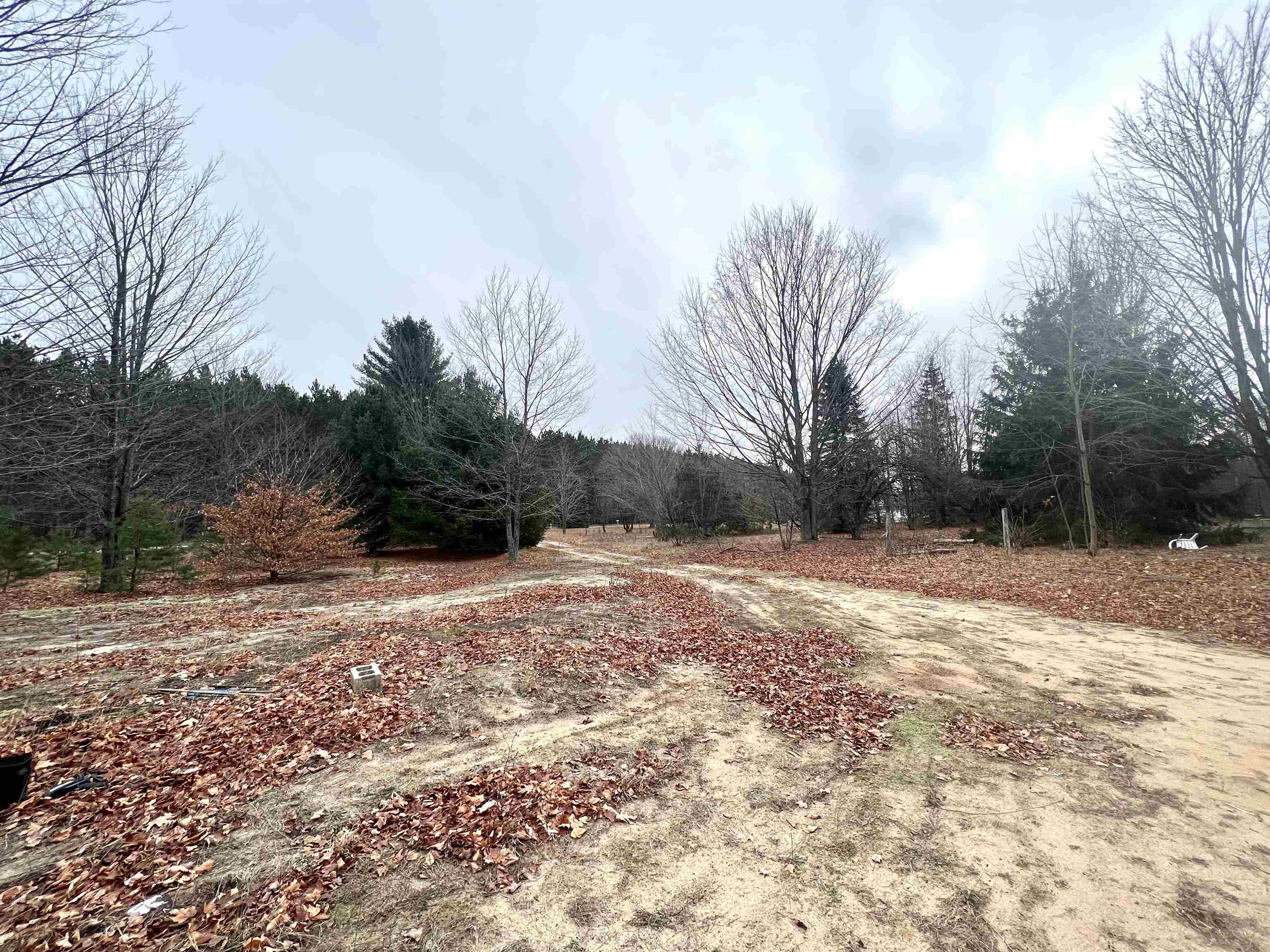 6024 Wallaker Road Benzonia, MI 49616 - Photo 22 of 24