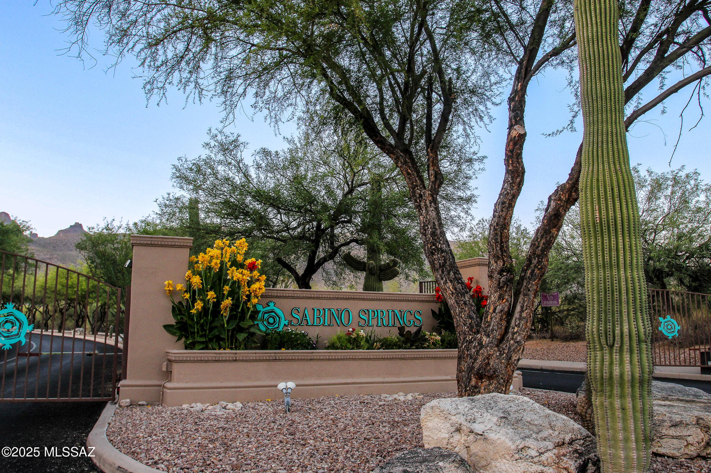 5202 Spring View Drive Tucson, AZ 85749 - Photo 43 of 49 Sabino Springs 3