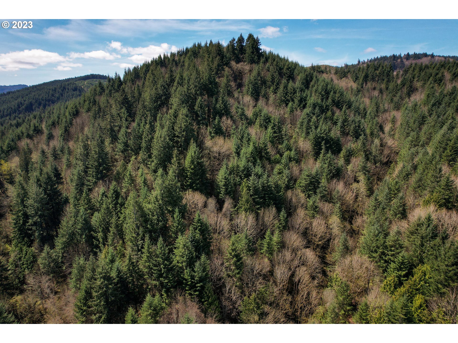 Rocky Point Road Scappoose, OR 97056 - Photo 1 of 10 a view of a city with lush green forest