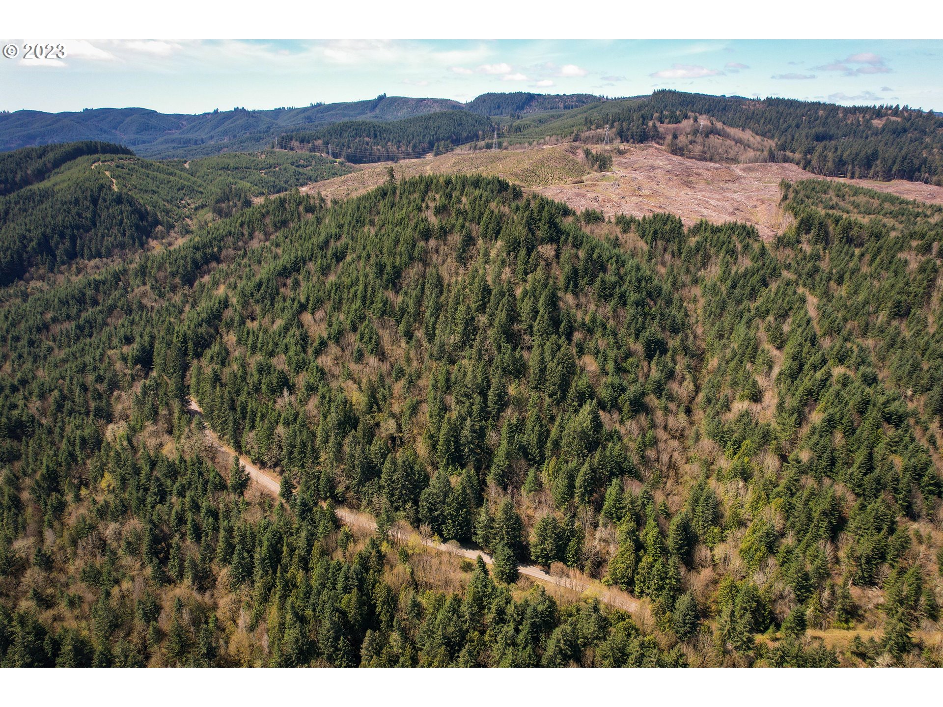 Rocky Point Road Scappoose, OR 97056 - Photo 4 of 10 a view of a mountain in the distance