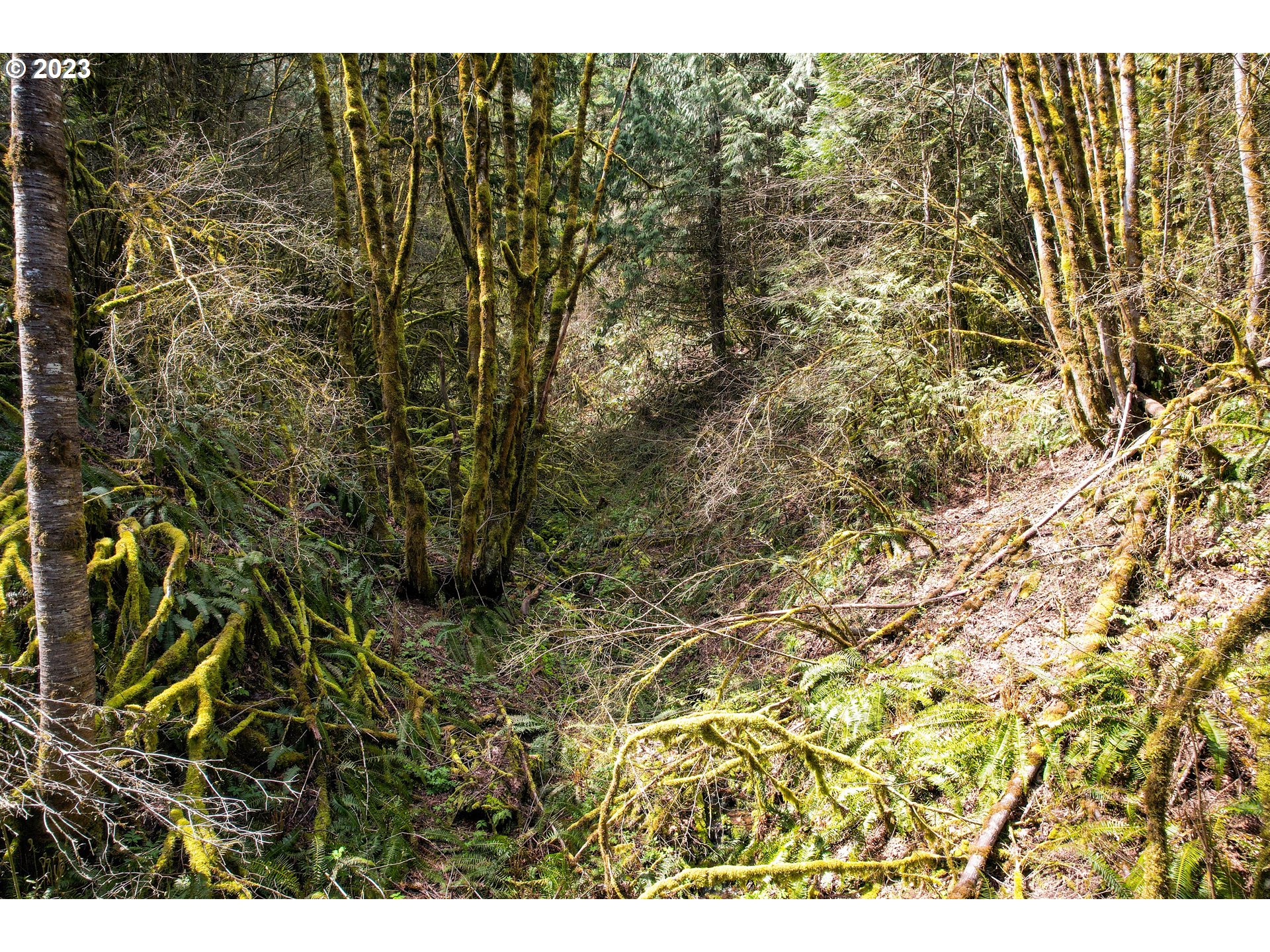 Rocky Point Road Scappoose, OR 97056 - Photo 9 of 10