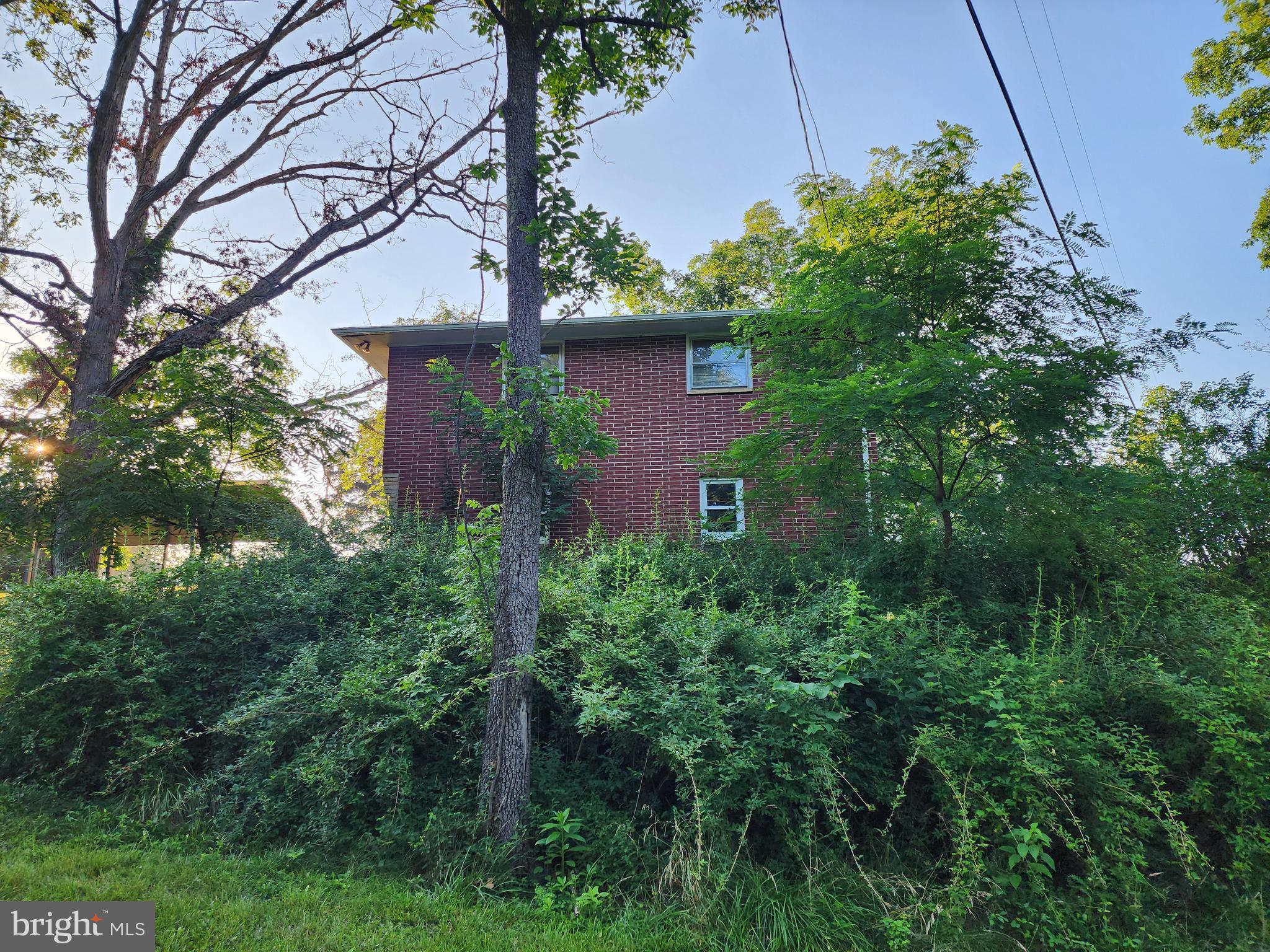 4549 Georges Run Road Ridgeley, WV 26753 - Photo 18 of 56