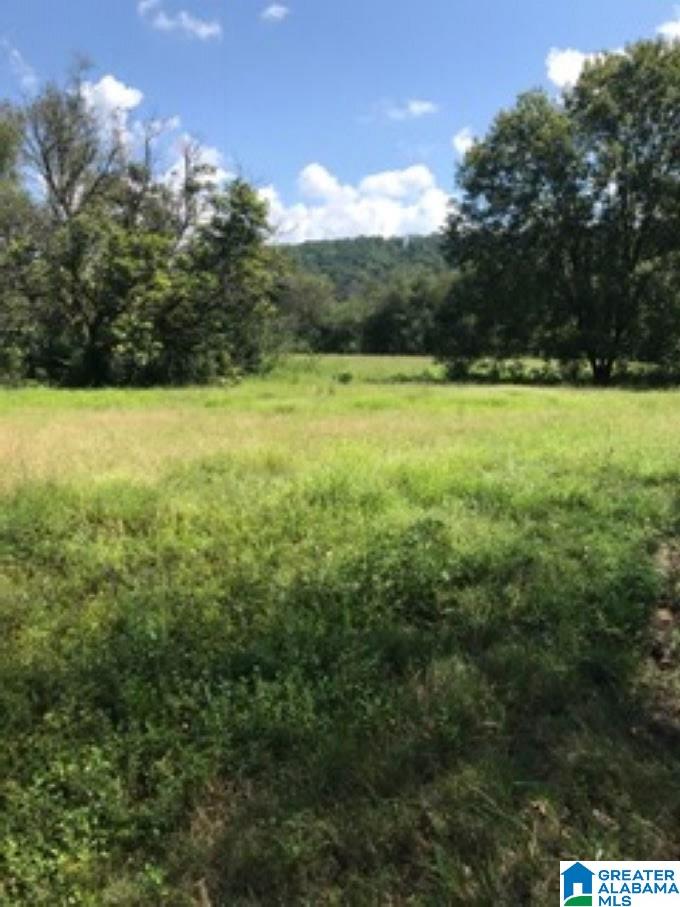 1957 Mineral Springs Road, Unit ACREAGE Pell City, AL 35125 - Photo 2 of 8
