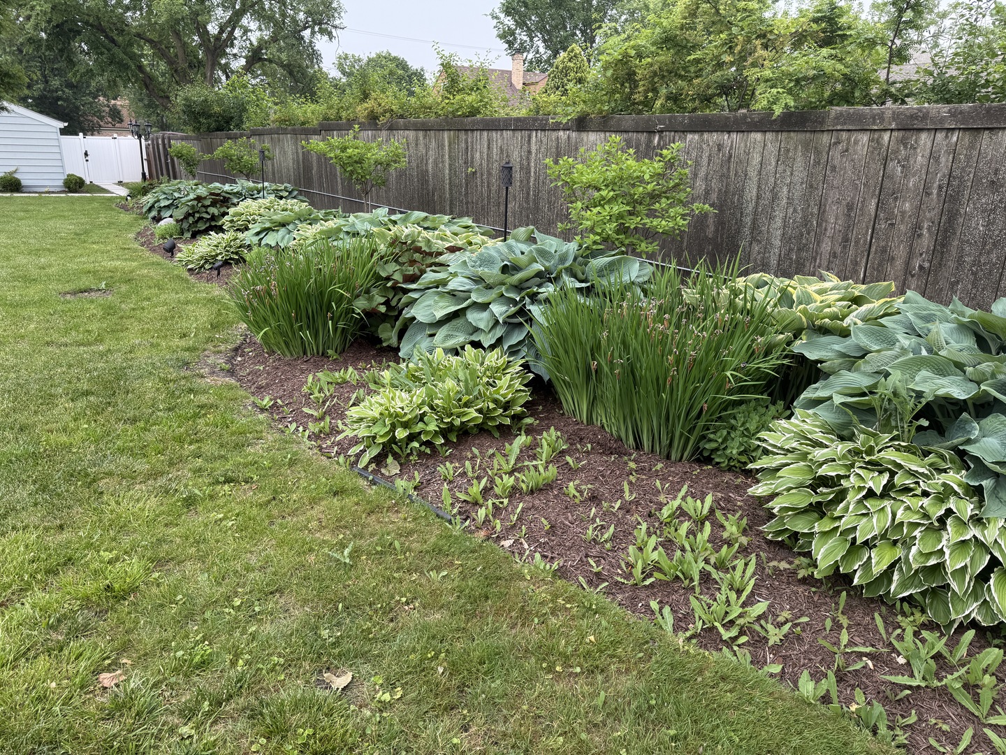 684 Pfingsten Road Northbrook, IL 60062 - Photo 11 of 33